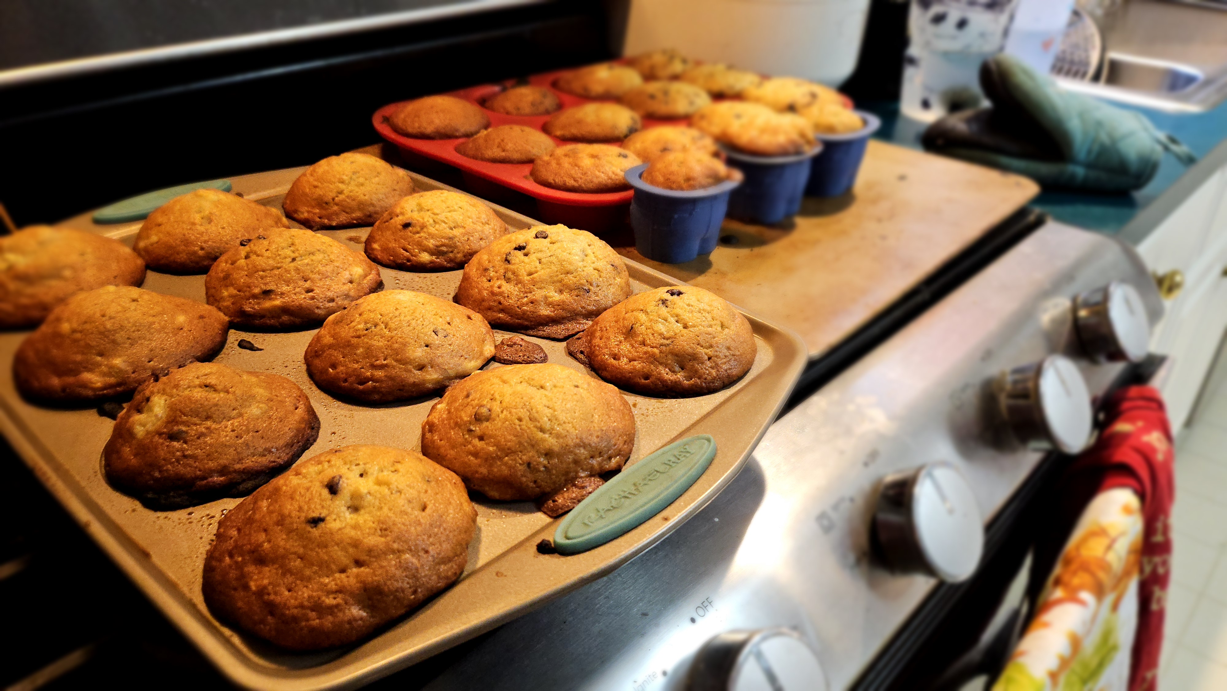 MUFFINS